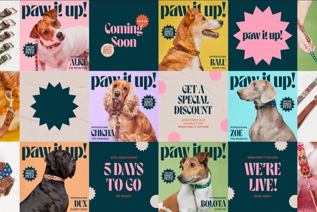kolorowe plakaty z różnymi rasami psów